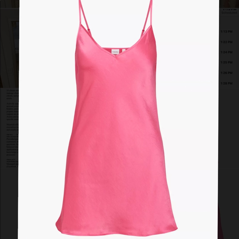 Aritzia Sunday Best Scully Dress